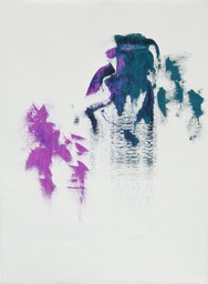 DSCN1898