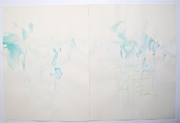 DSCN4452