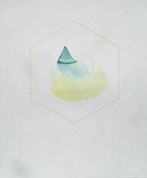 DSCN4716