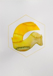 DSCN4967