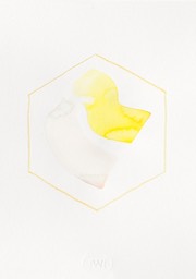 DSCN5039