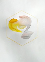 DSCN5281