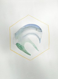 DSCN5282