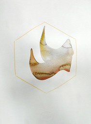 DSCN5283