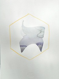 DSCN5284