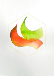 DSCN5287