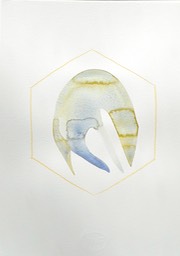 DSCN5288