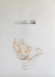 DSCN5586.jpg