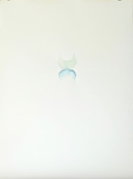 DSCN5595.jpg